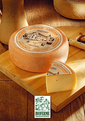Le Wavreumont - fromage bio